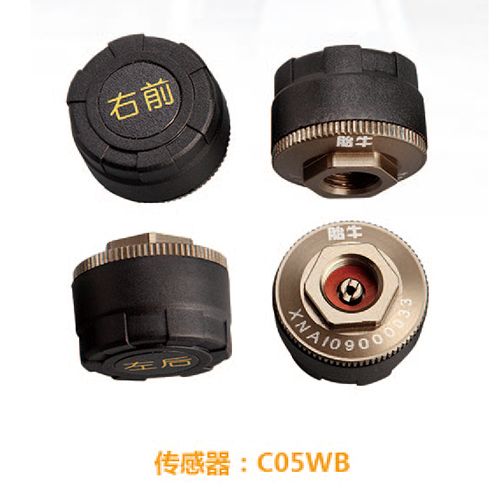 External sensor C05WB
